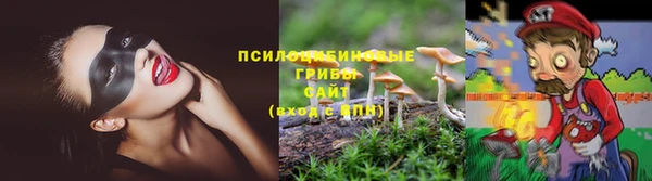 тгк Богданович