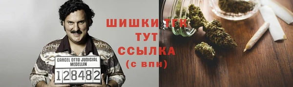 тгк Богородицк
