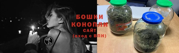 тгк Богородицк