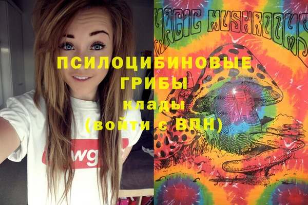 тгк Богородицк
