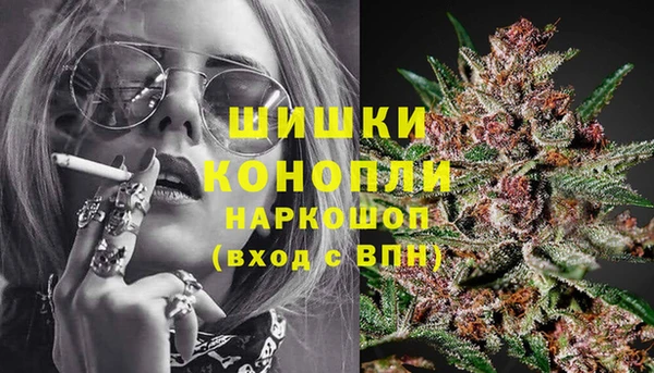 тгк Богородицк