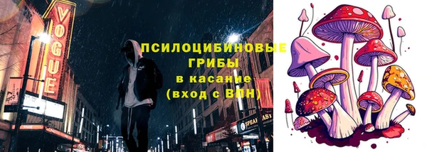 тгк Богданович