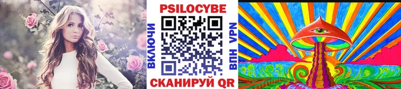 сколько стоит  Мещовск  Галлюциногенные грибы Cubensis 